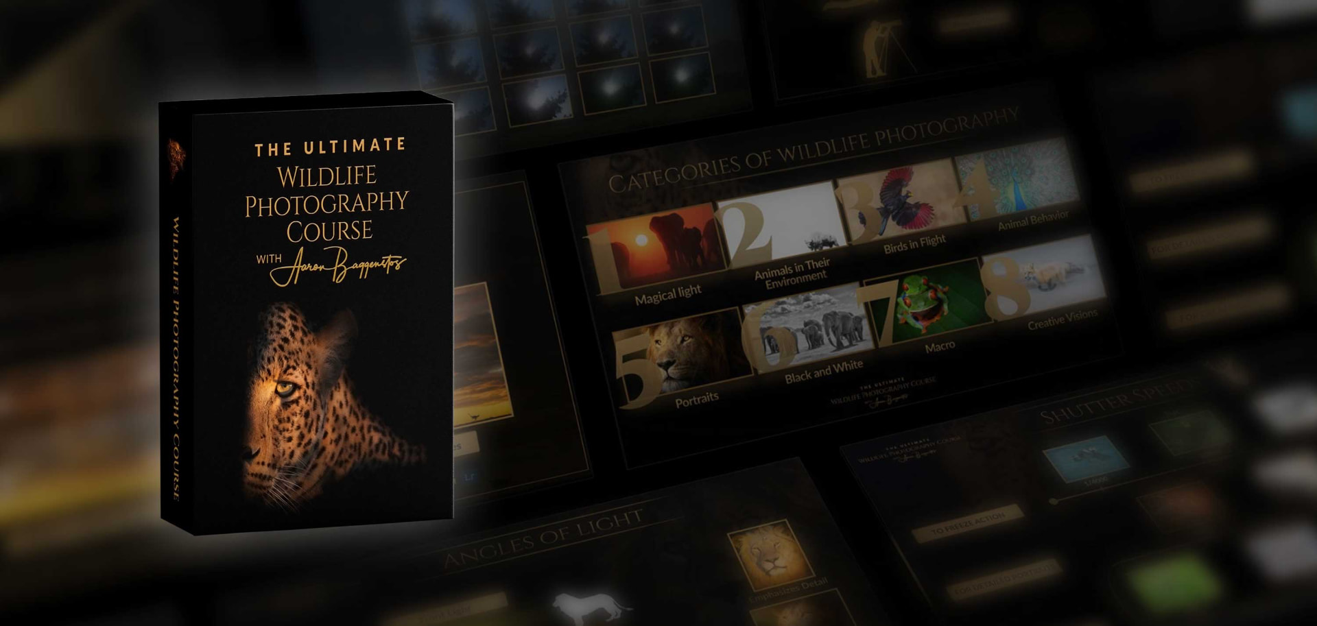 The Ultimate Wildlife Photography Course with lesson previews and field resources